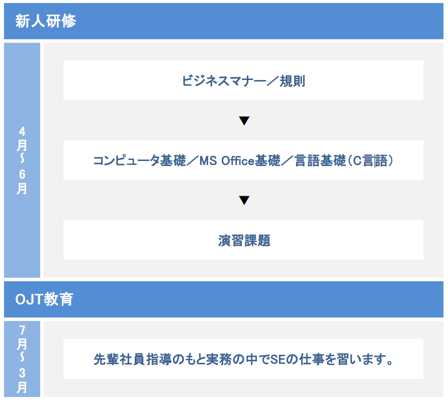 新人研修